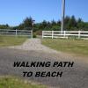 Walking path to the beach road